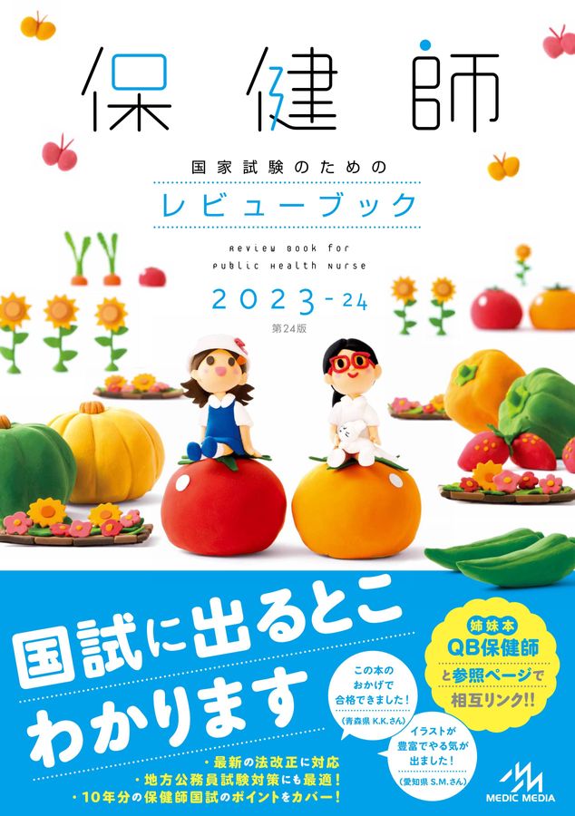 QB 保健師　2021 保健師国家試験のためのレビューブック2021 | 医療情報科学