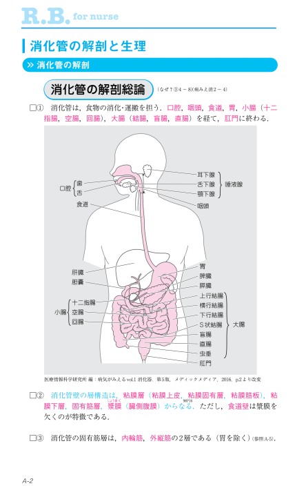 後腹膜臓器