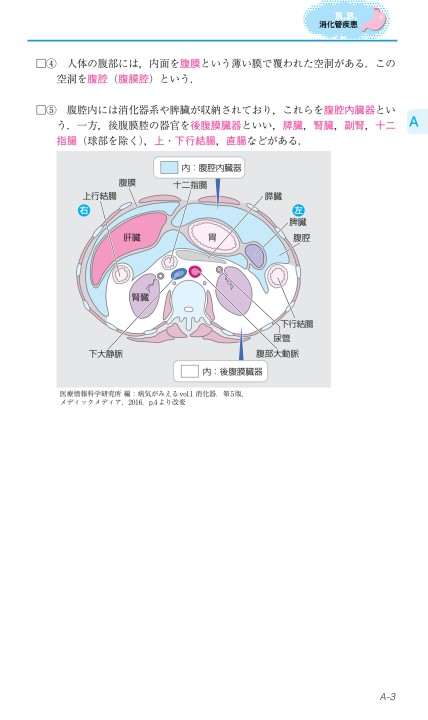 後腹膜臓器