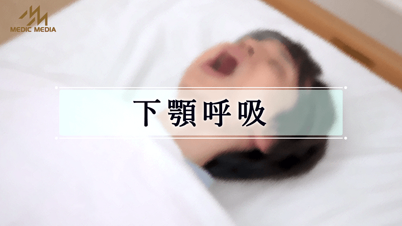 近日公開