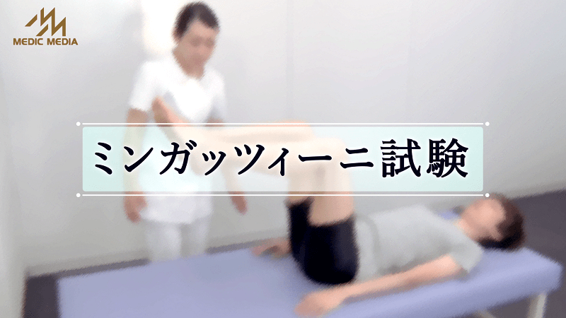 ミンガッツィーニ試験