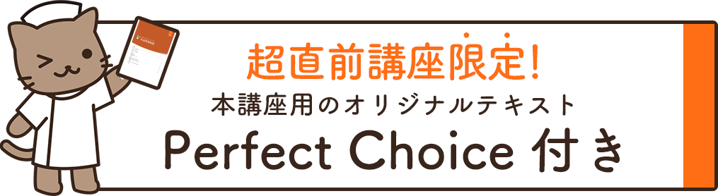 超直前講座限定　講座用オリジナルテキスト『Perfect Choice』付き