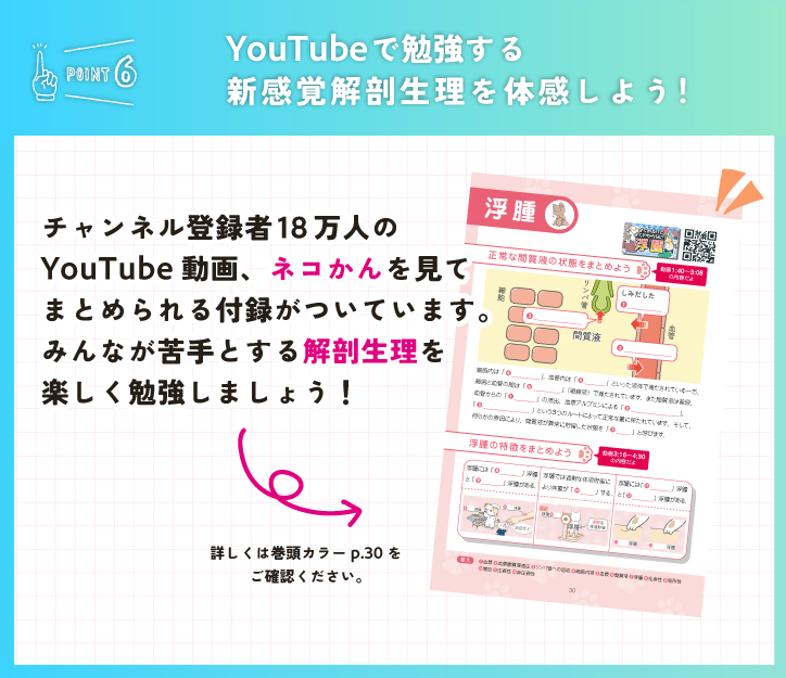 POINT6　youtubeで勉強する新感覚解剖整理を体感しよう