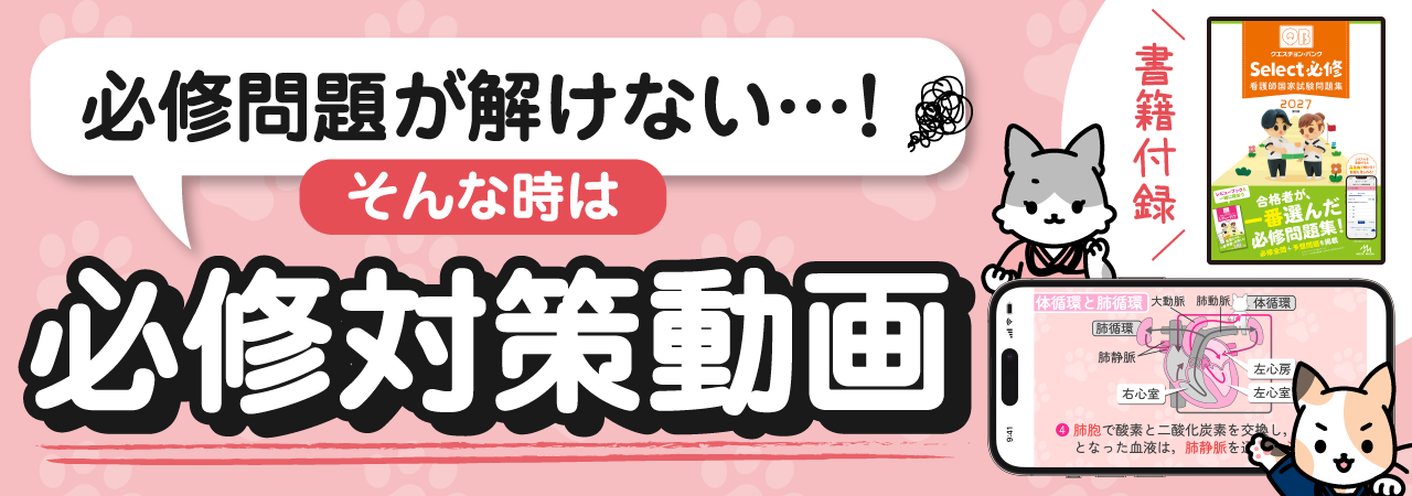 看護学生 教材 31冊‼️早い者勝ち‼️ 月刊誌 看護学生 - メヂカルフレンド社