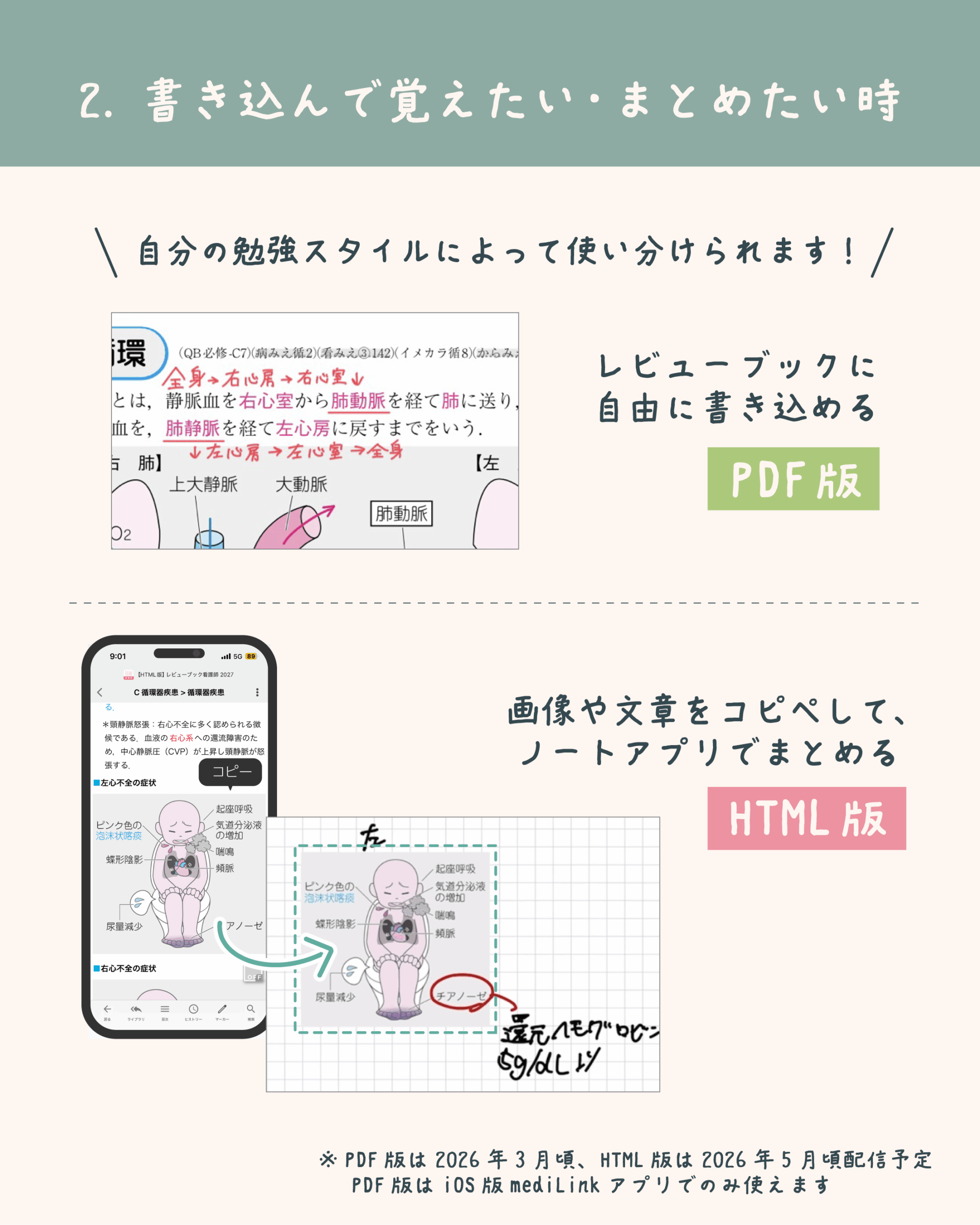 PDF版での書き込みとHTML版でのノートまとめ活用法